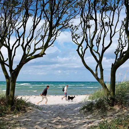 Inselbude * 因塞尔波埃尔